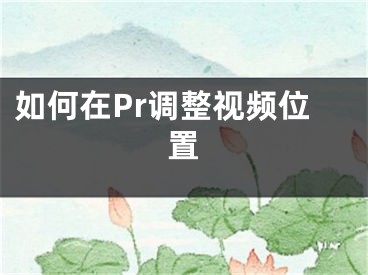 如何在Pr調(diào)整視頻位置