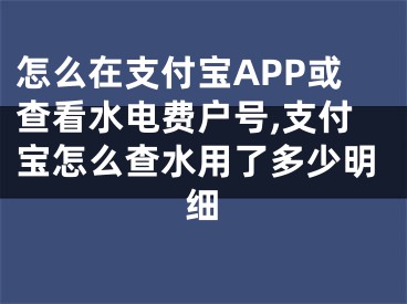 怎么在支付寶APP或查看水電費(fèi)戶號,支付寶怎么查水用了多少明細(xì)