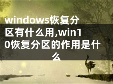 windows恢復(fù)分區(qū)有什么用,win10恢復(fù)分區(qū)的作用是什么