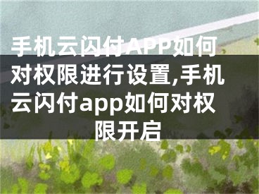 手機云閃付APP如何對權限進行設置,手機云閃付app如何對權限開啟