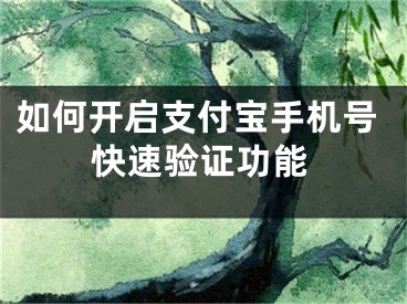 如何開啟支付寶手機(jī)號(hào)快速驗(yàn)證功能