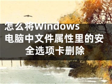 怎么將Windows電腦中文件屬性里的安全選項(xiàng)卡刪除