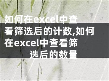 如何在excel中查看篩選后的計數(shù),如何在excel中查看篩選后的數(shù)量