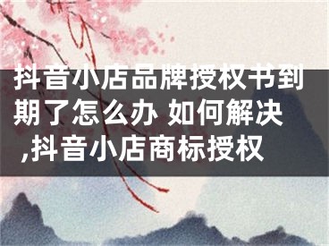 抖音小店品牌授權(quán)書到期了怎么辦 如何解決 ,抖音小店商標授權(quán)