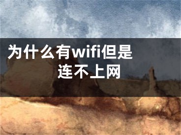 為什么有wifi但是連不上網(wǎng)