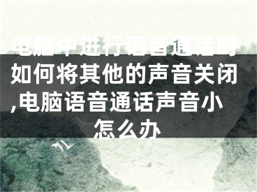 電腦中進(jìn)行語(yǔ)音通話(huà)時(shí)如何將其他的聲音關(guān)閉,電腦語(yǔ)音通話(huà)聲音小怎么辦