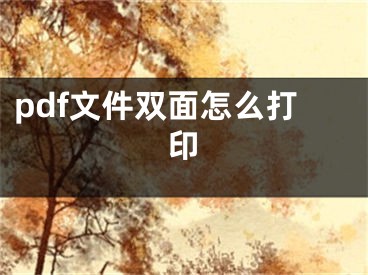 pdf文件雙面怎么打印