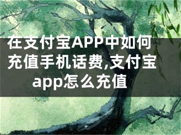 在支付寶APP中如何充值手機(jī)話費(fèi),支付寶app怎么充值