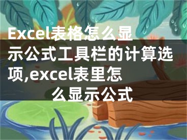 Excel表格怎么顯示公式工具欄的計算選項,excel表里怎么顯示公式