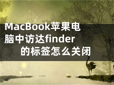 MacBook蘋果電腦中訪達(dá)finder的標(biāo)簽怎么關(guān)閉