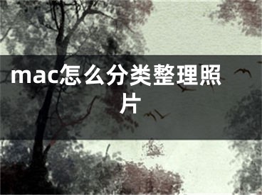 mac怎么分類(lèi)整理照片