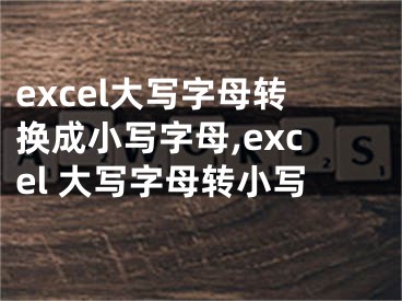 excel大寫字母轉(zhuǎn)換成小寫字母,excel 大寫字母轉(zhuǎn)小寫