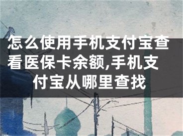 怎么使用手機支付寶查看醫(yī)?？ㄓ囝~,手機支付寶從哪里查找