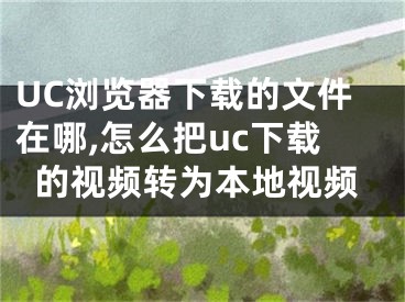 UC瀏覽器下載的文件在哪,怎么把uc下載的視頻轉(zhuǎn)為本地視頻