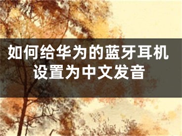 如何給華為的藍(lán)牙耳機(jī)設(shè)置為中文發(fā)音