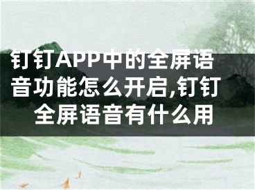 釘釘APP中的全屏語音功能怎么開啟,釘釘全屏語音有什么用