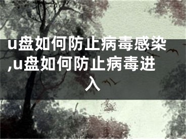 u盤(pán)如何防止病毒感染,u盤(pán)如何防止病毒進(jìn)入