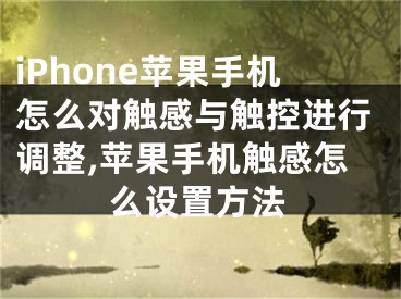 iPhone蘋果手機怎么對觸感與觸控進行調(diào)整,蘋果手機觸感怎么設置方法