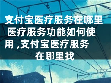 支付寶醫(yī)療服務在哪里 醫(yī)療服務功能如何使用 ,支付寶醫(yī)療服務在哪里找