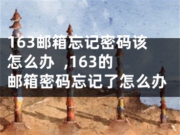 163郵箱忘記密碼該怎么辦  ,163的郵箱密碼忘記了怎么辦