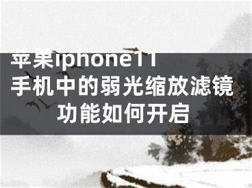 蘋果iphone11手機(jī)中的弱光縮放濾鏡功能如何開啟