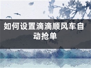 如何設(shè)置滴滴順風(fēng)車自動搶單