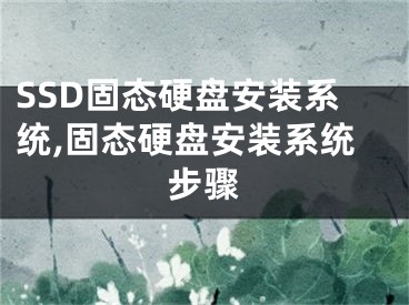 SSD固態(tài)硬盤安裝系統(tǒng),固態(tài)硬盤安裝系統(tǒng)步驟