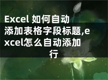 Excel 如何自動添加表格字段標題,excel怎么自動添加行