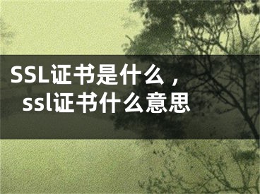 SSL證書(shū)是什么 ,ssl證書(shū)什么意思