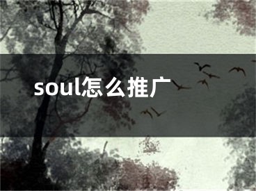 soul怎么推廣