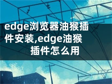 edge瀏覽器油猴插件安裝,edge油猴插件怎么用