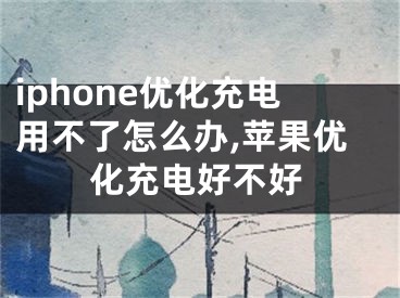 iphone優(yōu)化充電用不了怎么辦,蘋果優(yōu)化充電好不好