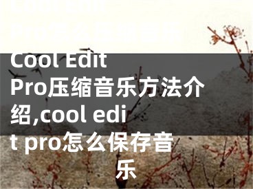 Cool Edit Pro怎么壓縮音樂 Cool Edit Pro壓縮音樂方法介紹,cool edit pro怎么保存音樂