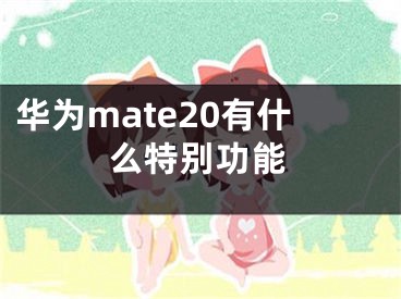 華為mate20有什么特別功能