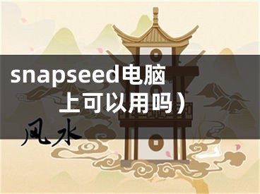 snapseed電腦上可以用嗎）