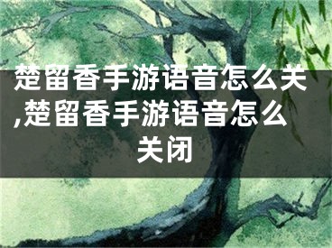 楚留香手游語音怎么關(guān),楚留香手游語音怎么關(guān)閉