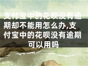 支付寶中的花唄沒有逾期卻不能用怎么辦,支付寶中的花唄沒有逾期可以用嗎