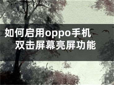 如何啟用oppo手機(jī)雙擊屏幕亮屏功能