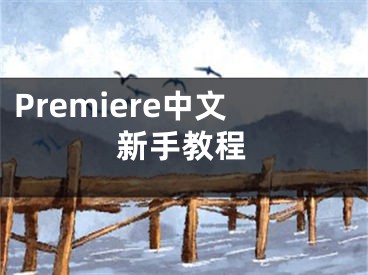 Premiere中文新手教程