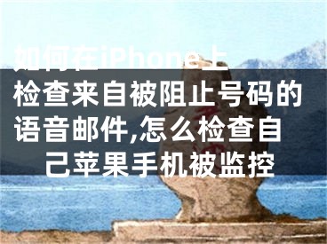 如何在iPhone上檢查來自被阻止號碼的語音郵件,怎么檢查自己蘋果手機(jī)被監(jiān)控