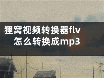 貍窩視頻轉(zhuǎn)換器flv怎么轉(zhuǎn)換成mp3