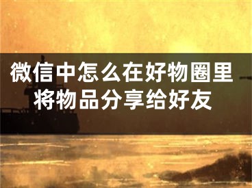 微信中怎么在好物圈里將物品分享給好友