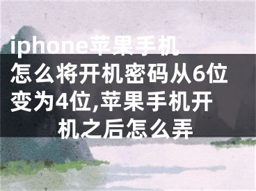 iphone蘋果手機(jī)怎么將開機(jī)密碼從6位變?yōu)?位,蘋果手機(jī)開機(jī)之后怎么弄