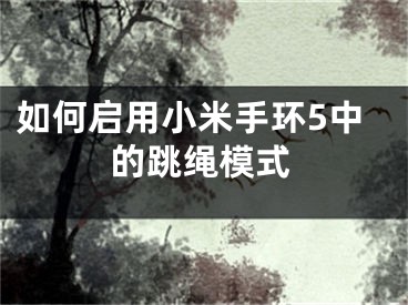 如何啟用小米手環(huán)5中的跳繩模式