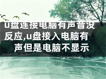 u盤連接電腦有聲音沒反應(yīng),u盤接入電腦有聲但是電腦不顯示