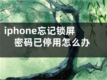 iphone忘記鎖屏密碼已停用怎么辦