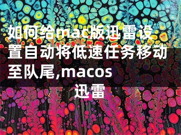 如何給mac版迅雷設(shè)置自動(dòng)將低速任務(wù)移動(dòng)至隊(duì)尾,macos 迅雷