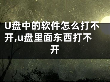 U盤中的軟件怎么打不開,u盤里面東西打不開