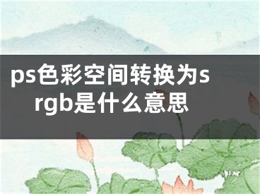 ps色彩空間轉(zhuǎn)換為srgb是什么意思