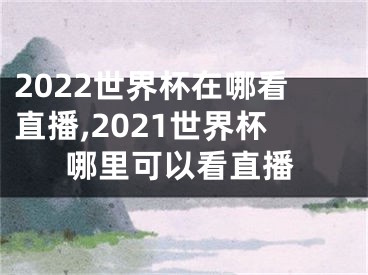 2022世界杯在哪看直播,2021世界杯哪里可以看直播